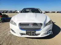 2014 Jaguar XJ фото