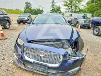 2014 Jaguar XJ фото