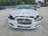 2014 Jaguar XJ фото