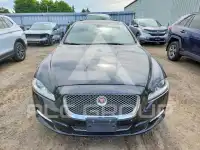 2014 Jaguar XJ фото