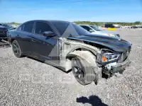 2014 Dodge CHARGER фото
