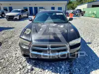 2014 Dodge CHARGER фото