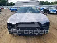 2014 Dodge  photo