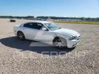 2014 Dodge CHARGER photo