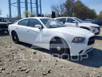 2014 Dodge CHARGER photo