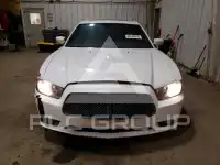 2014 Dodge CHARGER photo