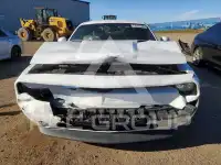 2014 Dodge CHALLENGER фото