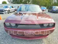 2014 Dodge CHALLENGER фото