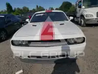 2014 Dodge CHALLENGER фото