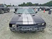 2014 Dodge CHALLENGER photo