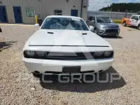 2014 Dodge CHALLENGER photo