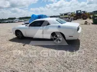 2014 Dodge CHALLENGER photo