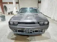 2014 Dodge CHALLENGER фото
