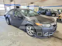 2014 Acura TSX фото