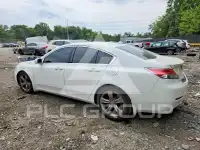 2014 Acura TL фото