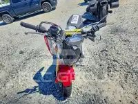 2014 Honda GROM фото
