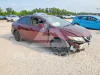 2014 Honda CIVIC фото