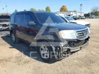 2014 Honda PILOT photo