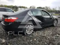 2014 Honda Accord photo