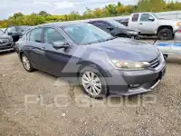 2014 Honda Accord photo