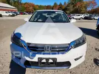 2014 Honda Accord photo