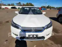 2014 Honda Accord photo