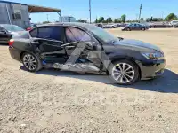 2014 Honda Accord photo