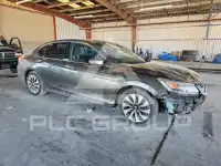 2014 Honda Accord фото
