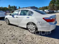 2014 Honda Accord photo
