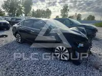 2014 Honda Accord фото