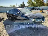 2014 Honda Accord photo