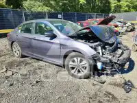 2014 Honda Accord photo