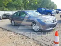 2014 Honda Accord photo