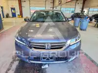 2014 Honda Accord photo