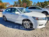 2014 Honda Accord photo