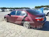2014 Honda Accord photo