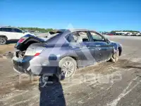 2014 Honda Accord фото