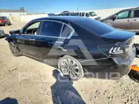 2014 Honda Accord photo