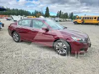 2014 Honda Accord фото