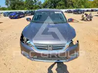 2014 Honda Accord photo