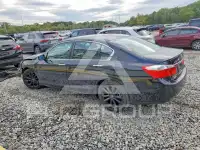 2014 Honda Accord photo