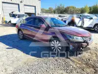 2014 Honda Accord photo