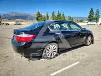 2014 Honda Accord photo