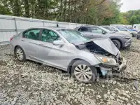 2014 Honda Accord photo