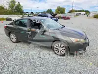 2014 Honda Accord photo