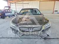 2014 Honda Accord фото