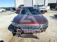 2014 Honda Accord photo