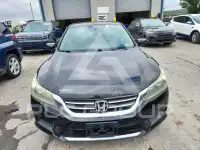 2014 Honda Accord photo
