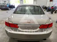 2014 Honda Accord фото