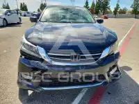 2014 Honda Accord photo